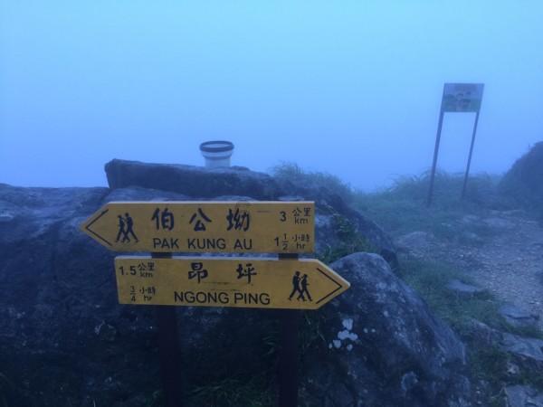 Xp系统,word文档保存在u盘里面。今天刚在电脑上查看过,但是现在u盘丢失了。-专业的问答平台